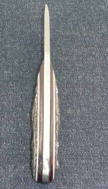 24_SpineShot-Good_zps0754802d.jpg