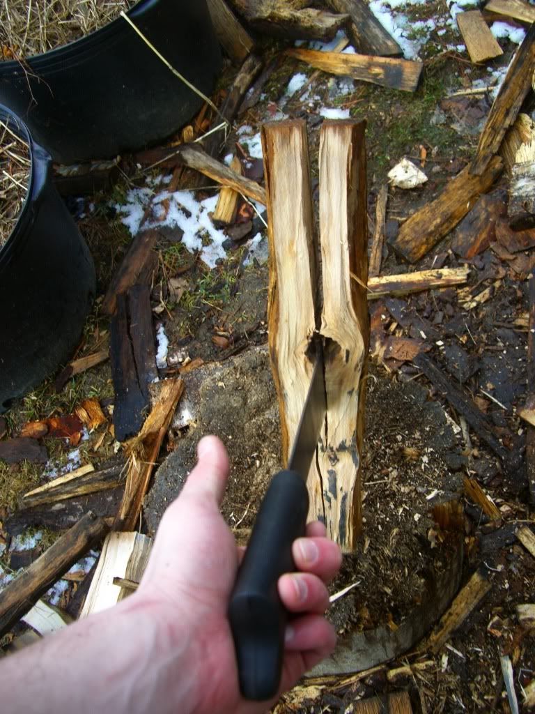 CIMG8677.jpg