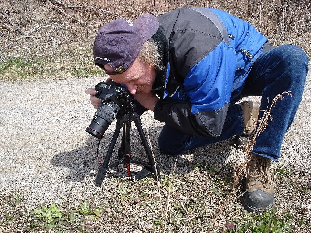 ShutterBug1forphotobucketjpg.jpg