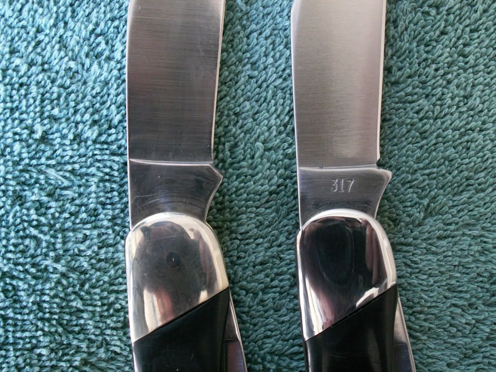 317sc.jpg