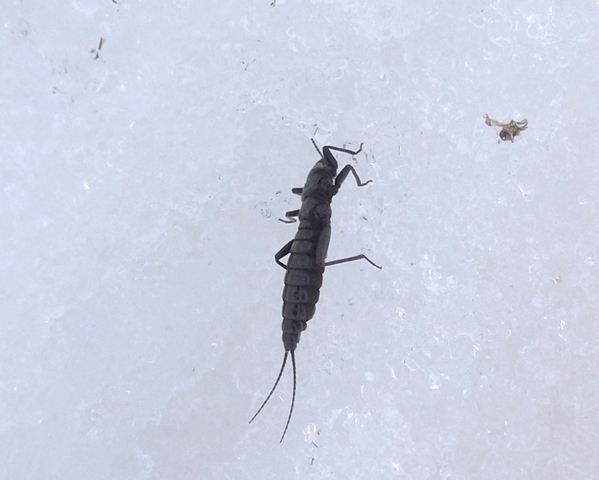 2013.03.24.R0018718.JPG