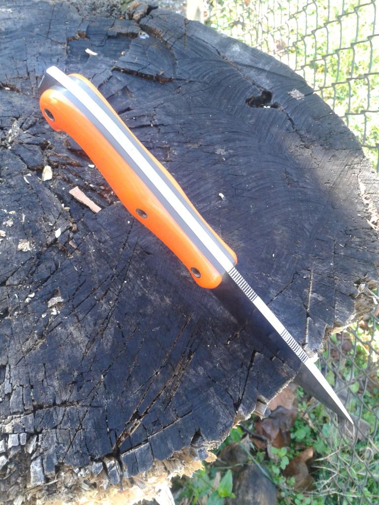 2012-11-04110221.jpg
