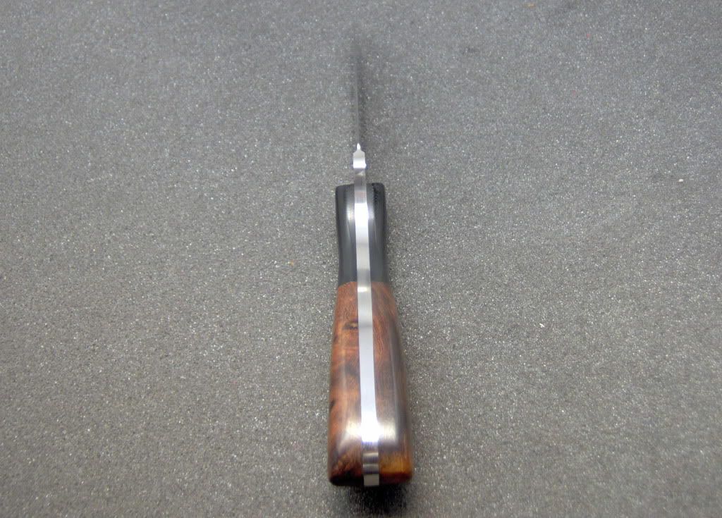 dpsp.jpg