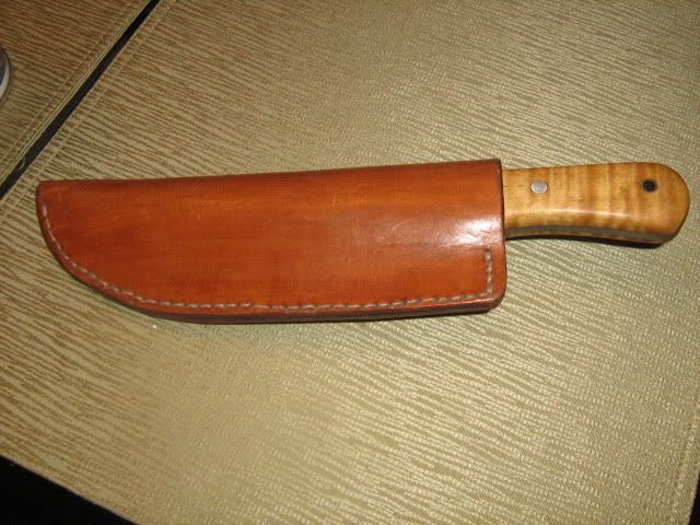 Picture1194.jpg
