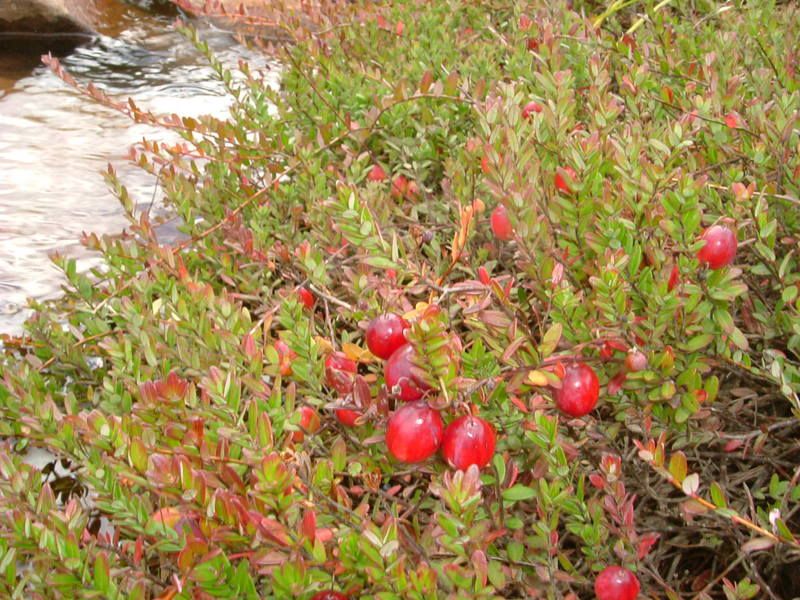 2006_0926Image0227.jpg