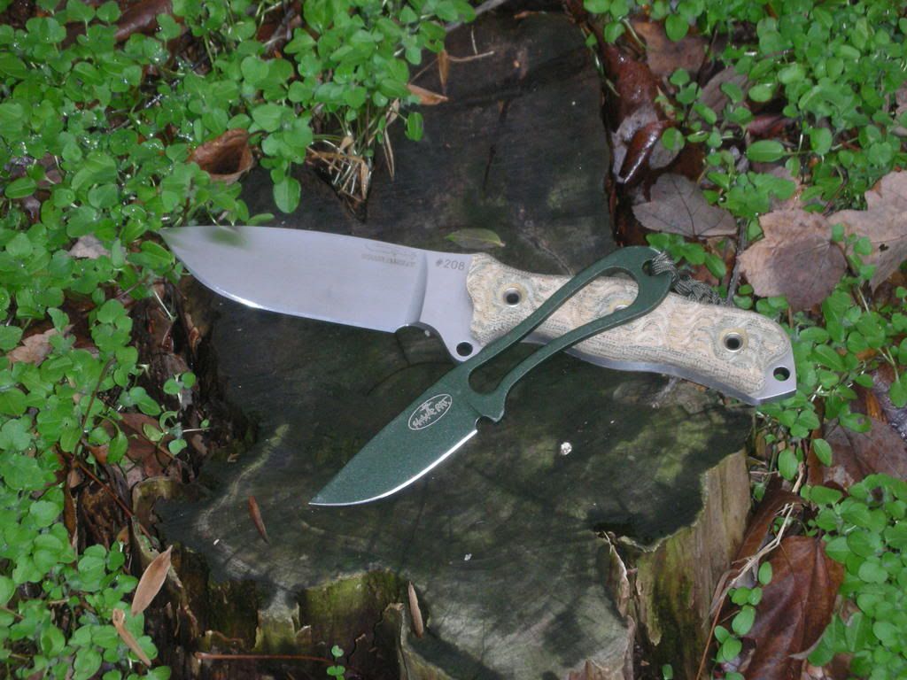 DSCN1273.jpg