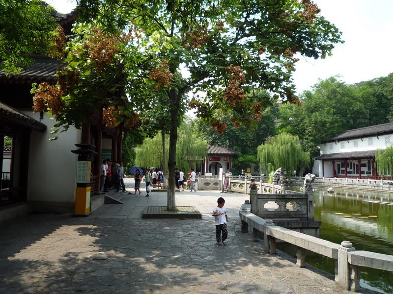 P1010459.jpg