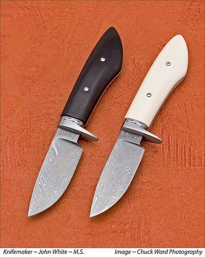 LBWard-Fiskphoto.jpg