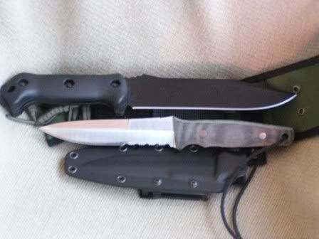 SpydercoChinook028.jpg