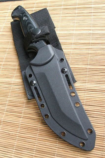 8ab60bd8.jpg