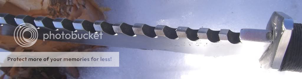 100_3012.jpg