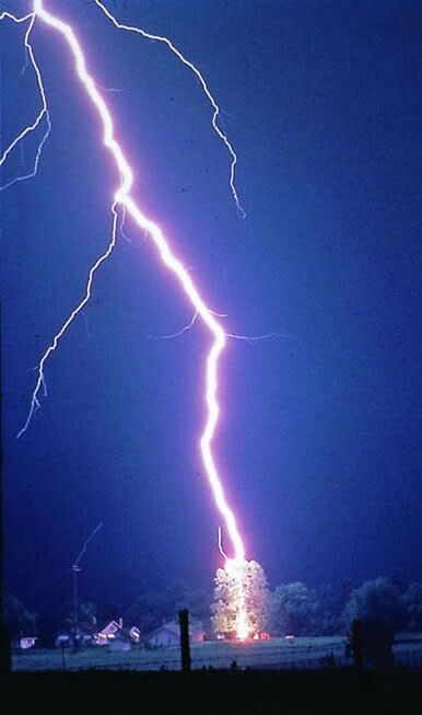 lightning_strikes_tree.jpg