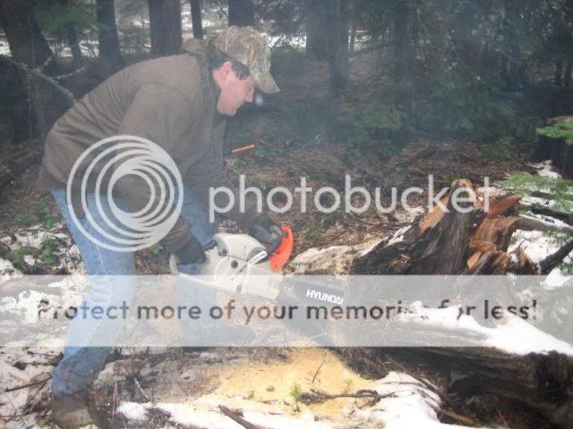 pitchwood2.jpg