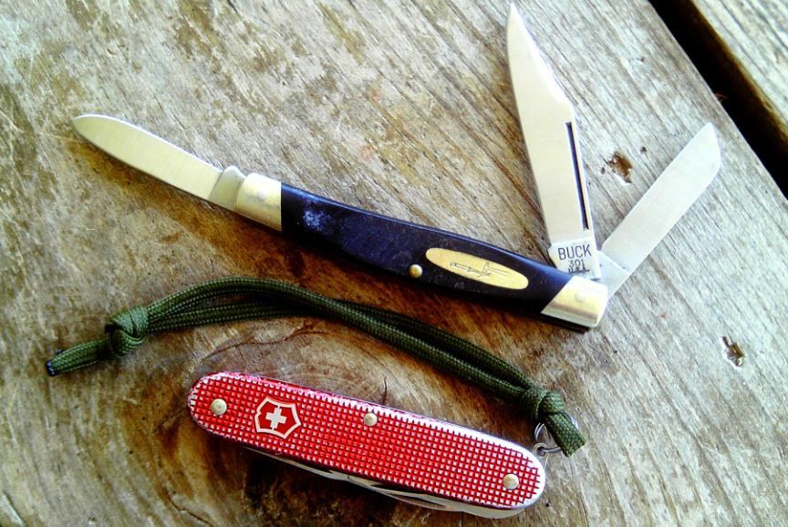 Pioneer%20and%20Buck%20301_zpsuspd8rsu.jpg