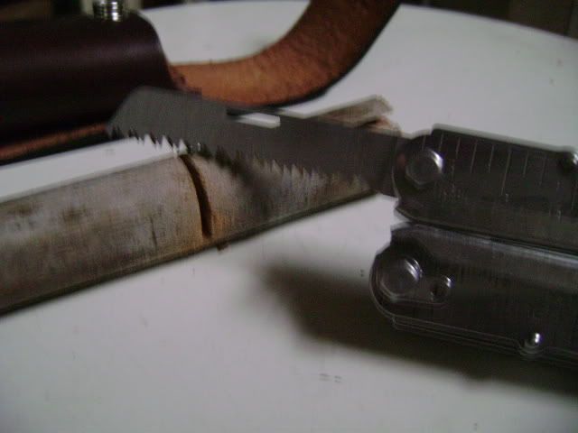 DSC01057.jpg