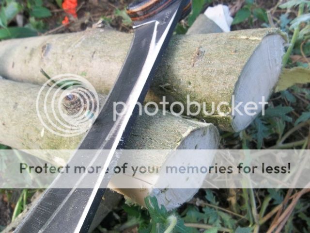 100_2074.jpg