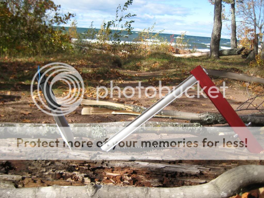 IMG_4391_zpsebf30484.jpg