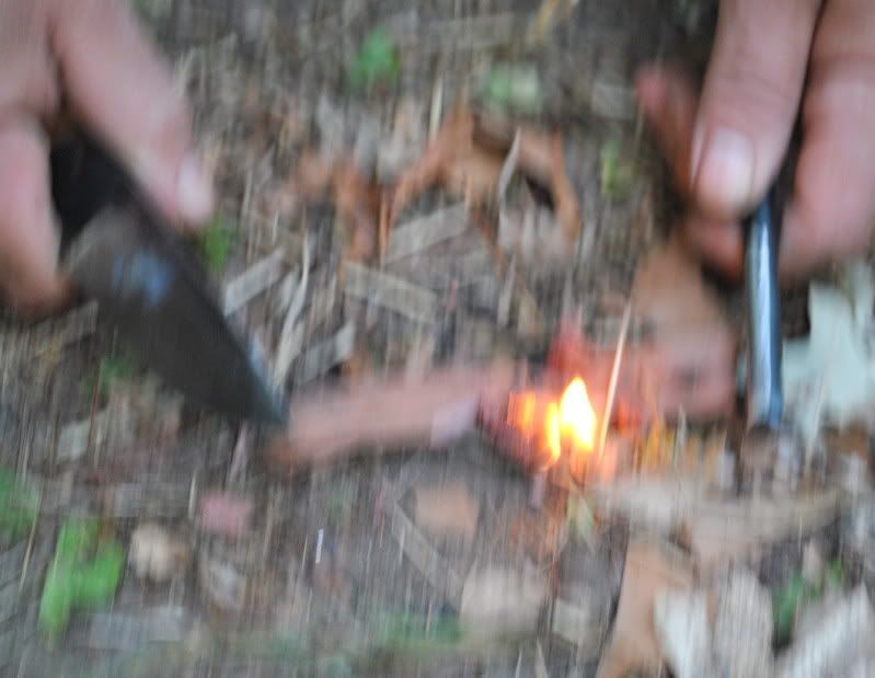 DSC_3947.jpg