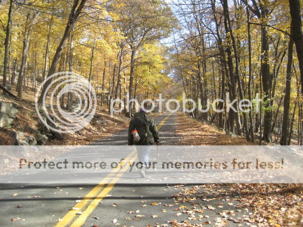 Newpics093-1.jpg