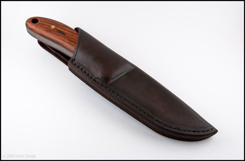withsheath.jpg