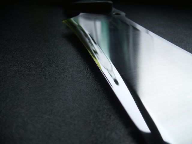 spydercoforester033.jpg