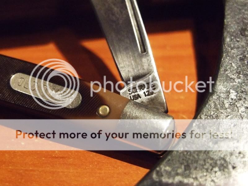 DSCF5994.jpg