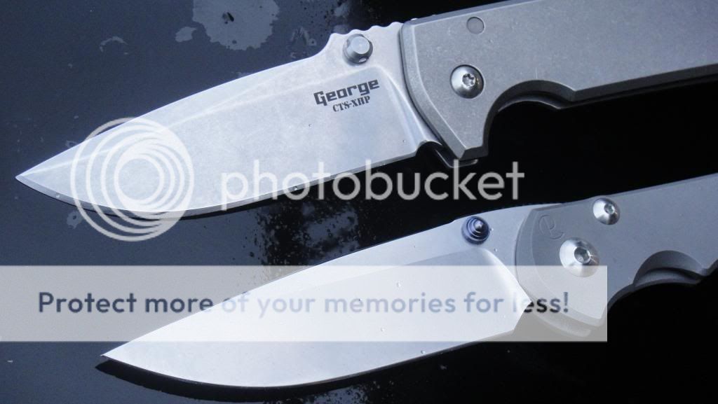 DSC04308_zpsbe1056f0.jpg