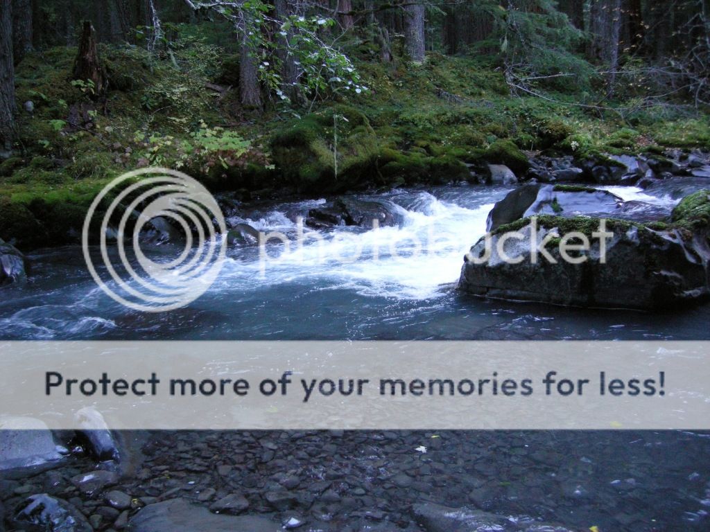 DSCN2467.jpg