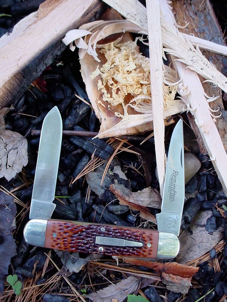 Remington_Woodsman.jpg