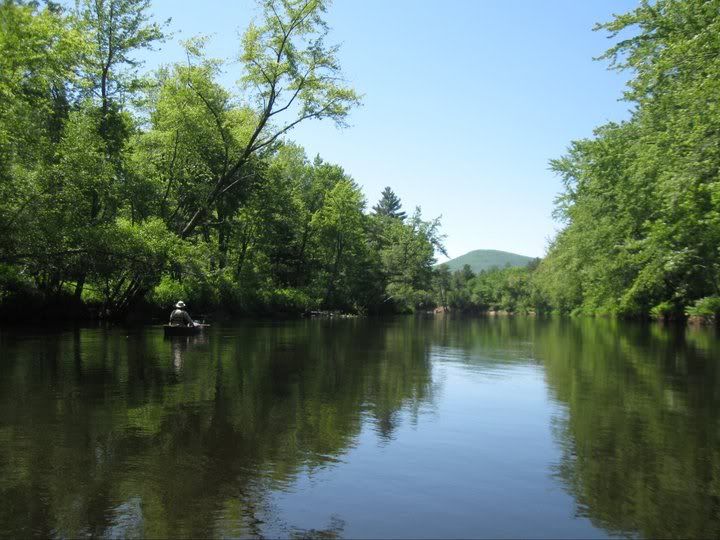 e7341367.jpg