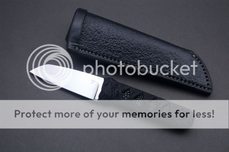 wharncliffeedc_3_zps34361ca0.jpg