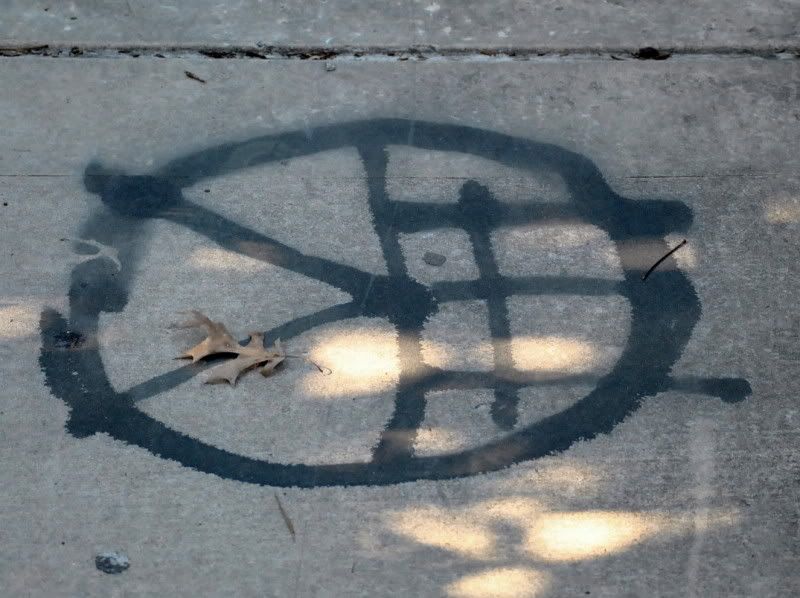 DSC_9258.jpg