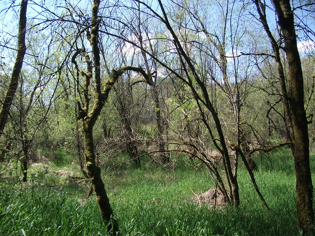 5714862668_d47a03c0f2_z.jpg
