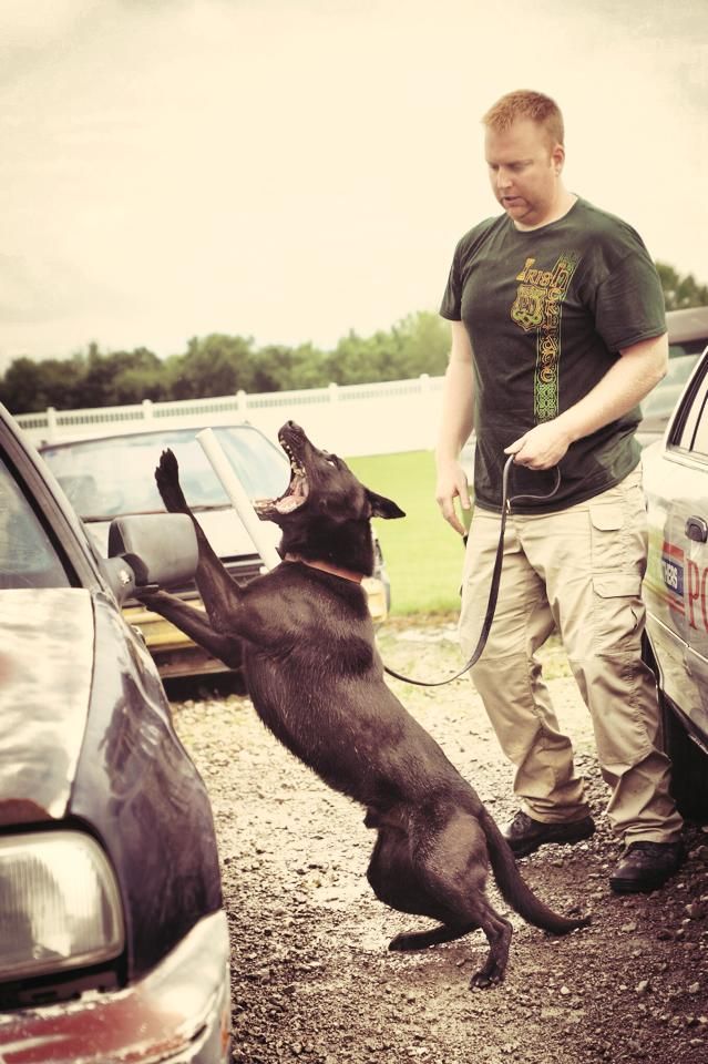 lawpaws_zpsh93m4hfu.jpg