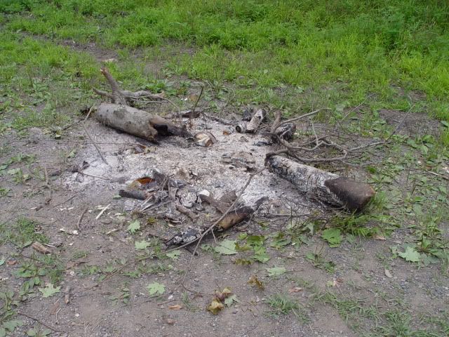 DSC02089.jpg