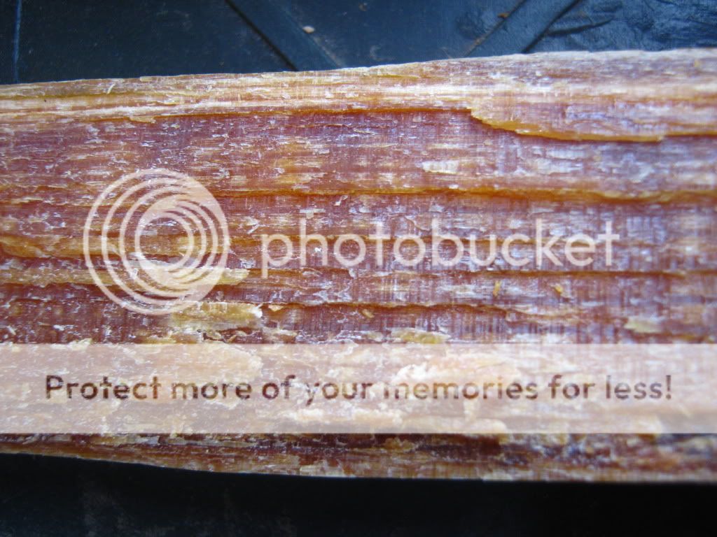 June192010018-1.jpg