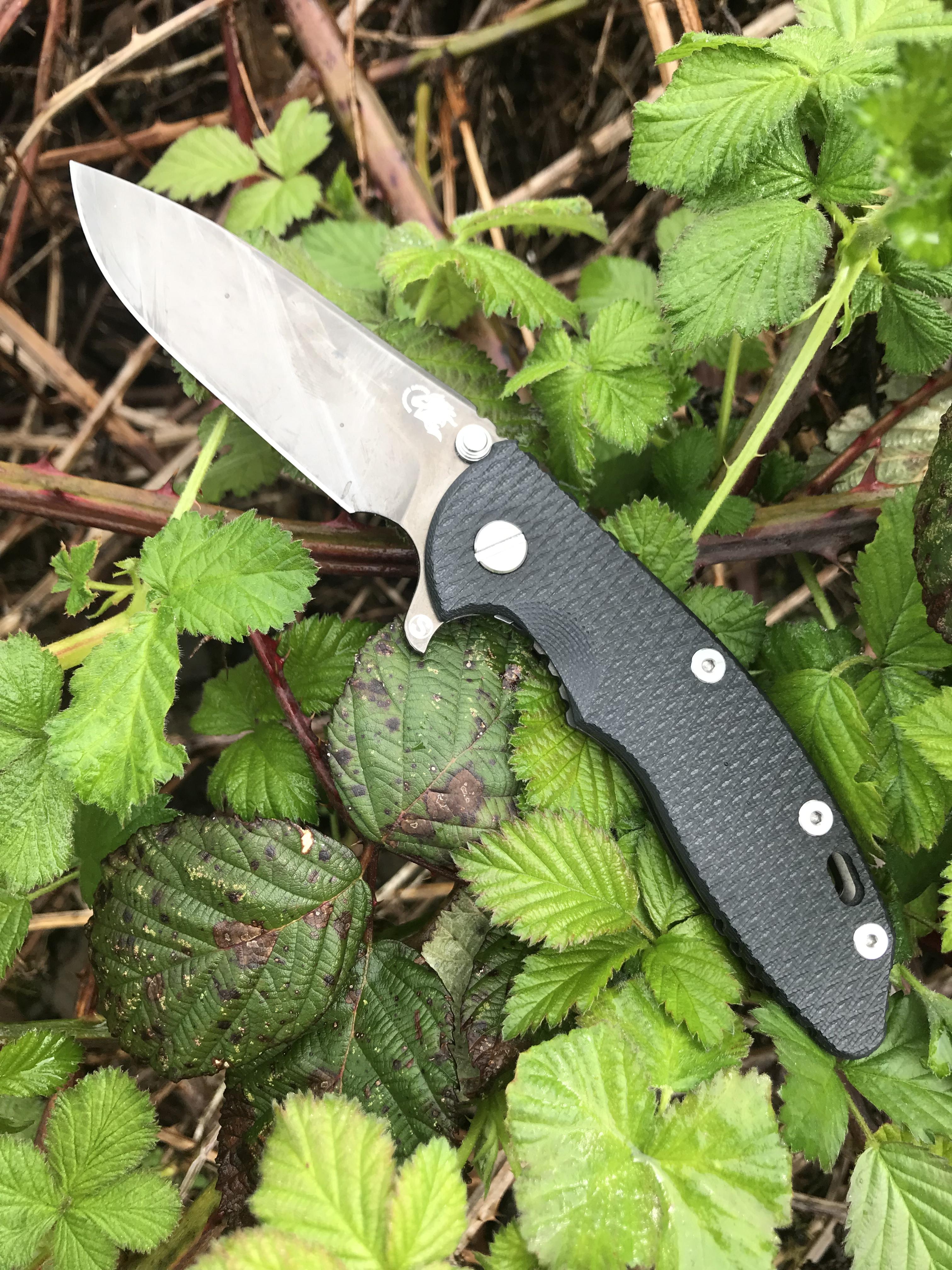 EQv35Sp.jpg