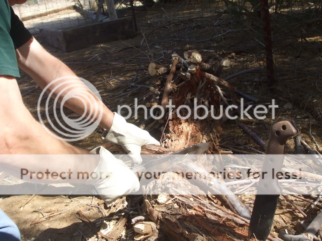 bk9chopping009.jpg