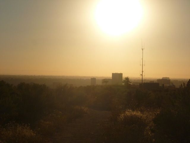 P1010663.jpg