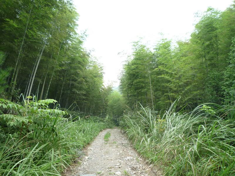 P1000931.jpg