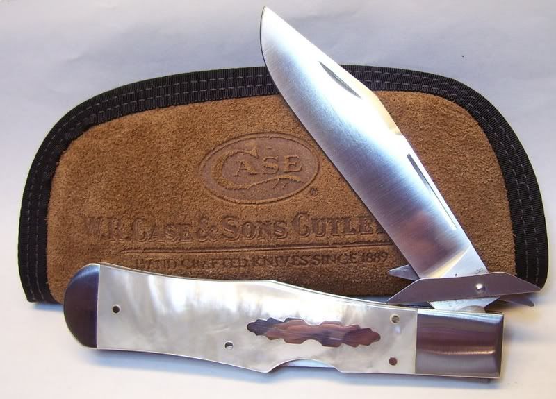 CaseBosePearlSwingGuard.jpg