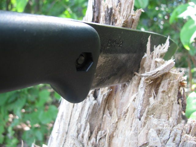 campcookingcontest003.jpg