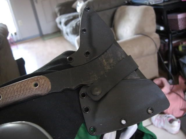 mine410.jpg