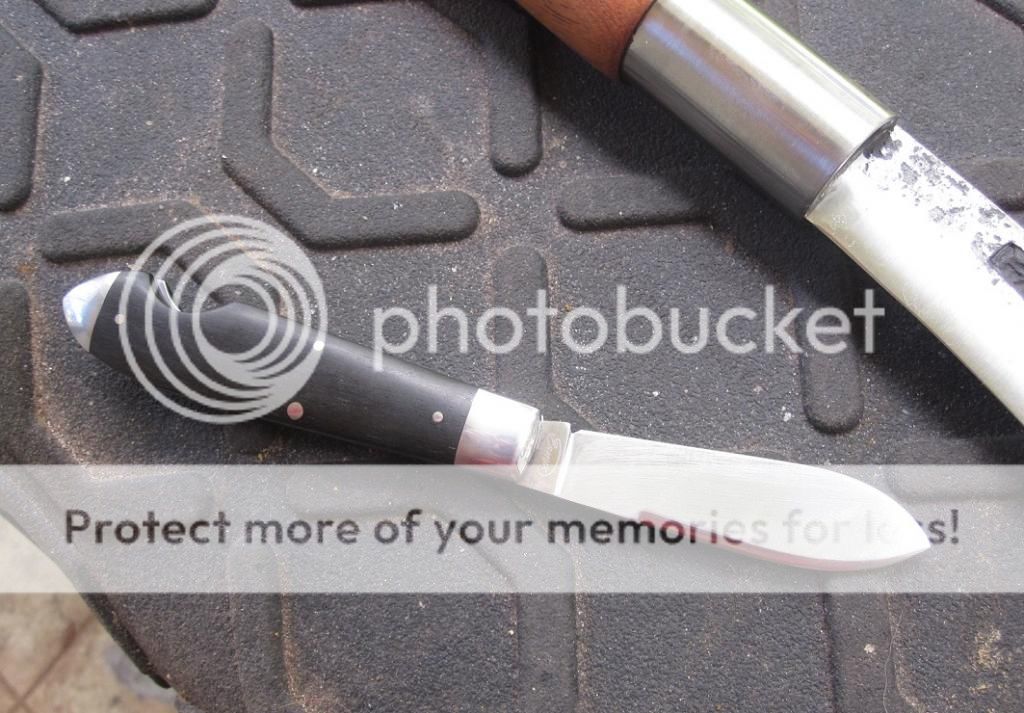 IMG_2974_zps9ebb6332.jpg~original