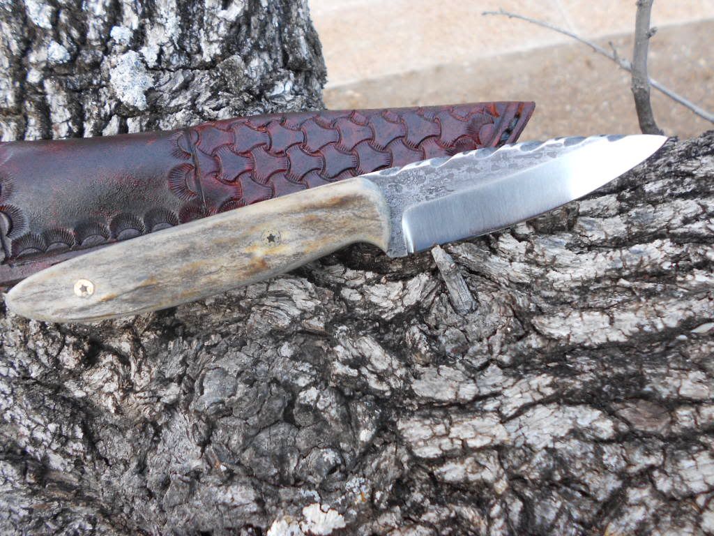 1095stag023.jpg
