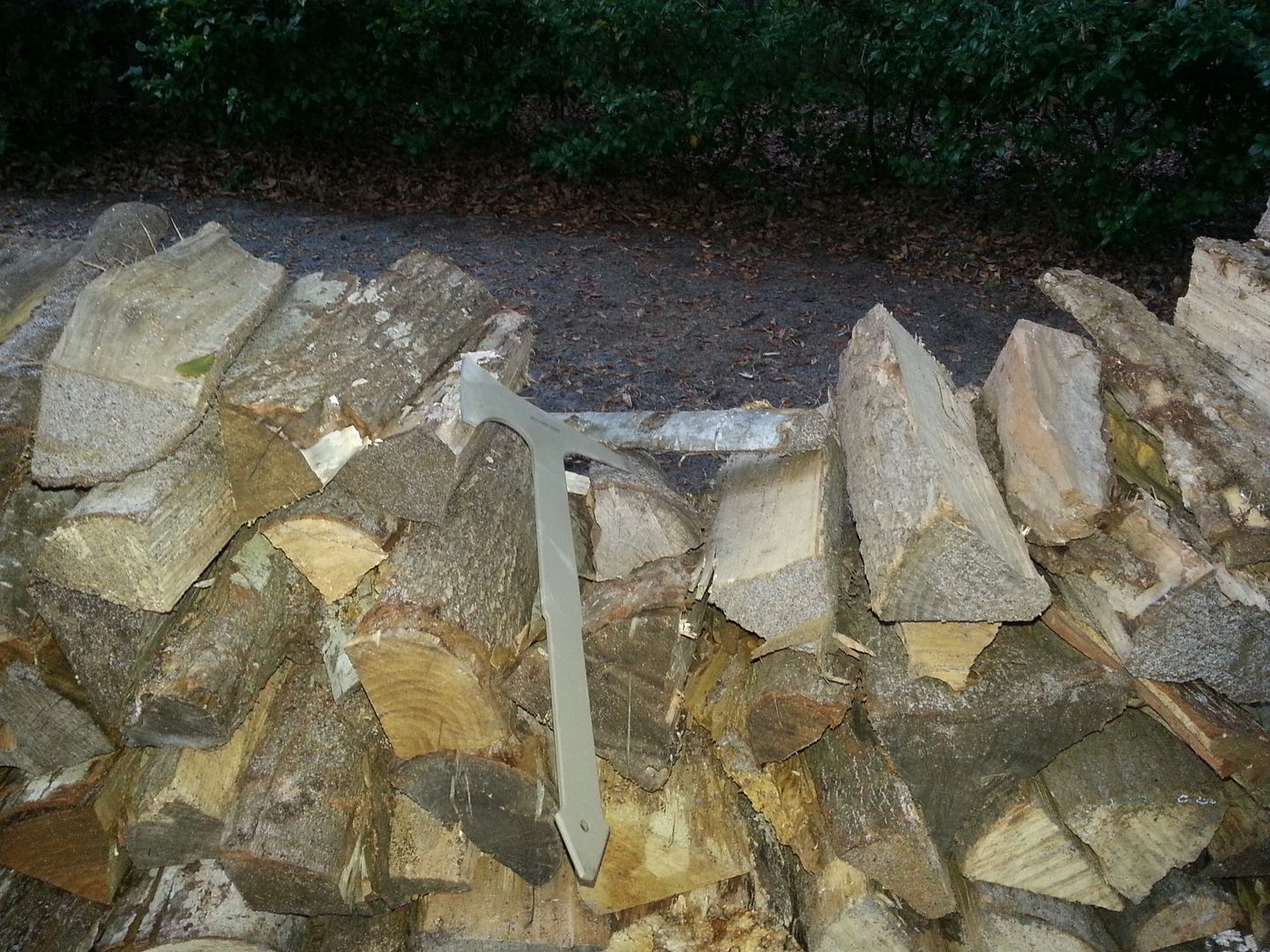 20130111_172148.jpg