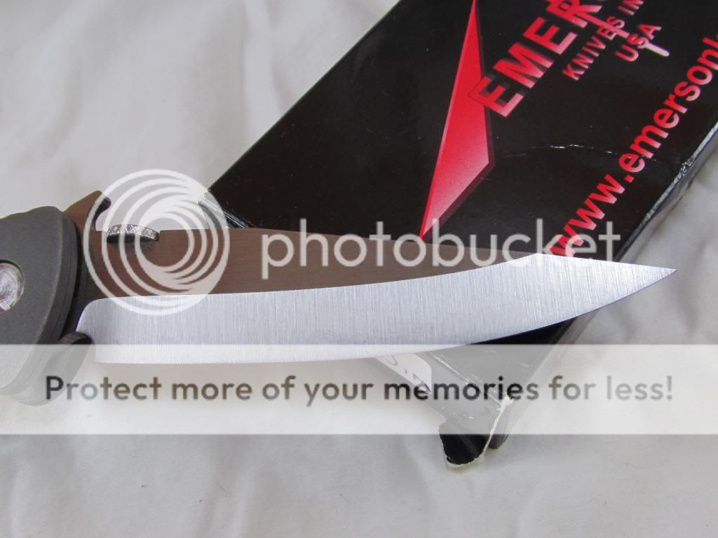 IMG_4801_zps9eff81b1.jpg