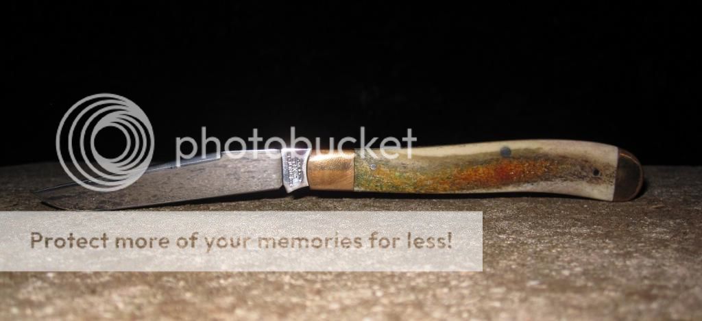 IMG_3623_zps7f336d82.jpg~original