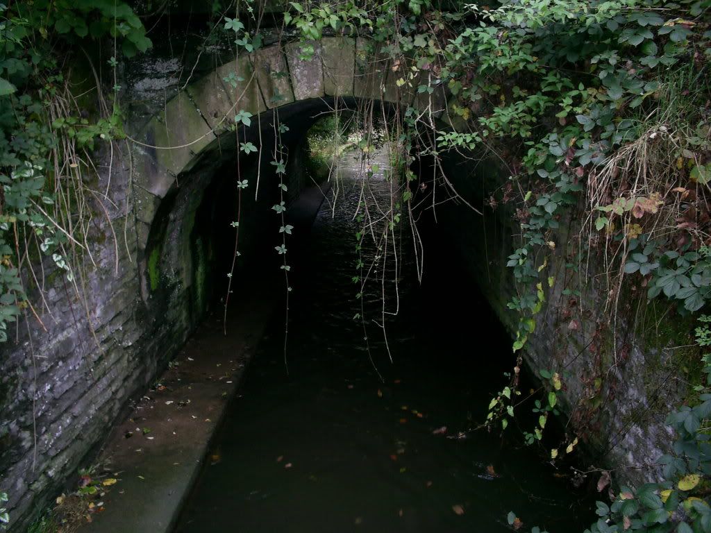 S5021765.jpg