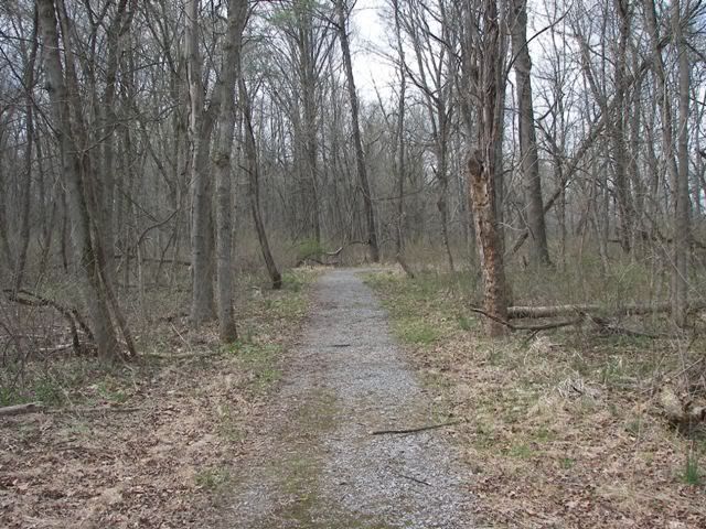 100_4727.jpg